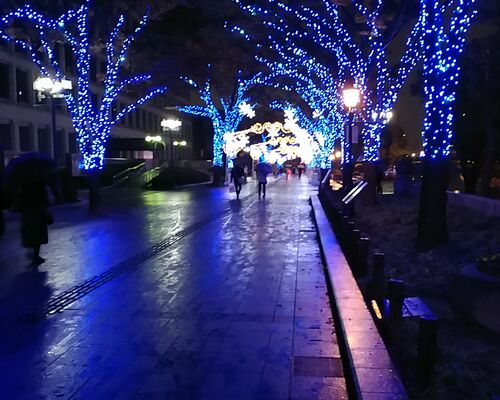 婚活の不安解消