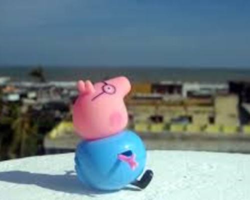 コロナで不安な婚活