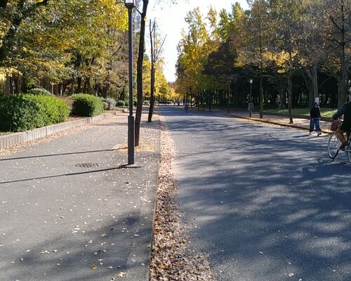 結婚相談所の料金を調べに