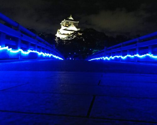 大阪での30代女性の婚活