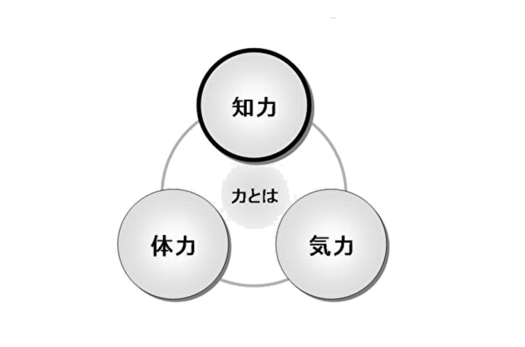 婚活の気力と体力と知力