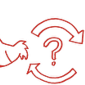 婚活　交際　結婚の優先順